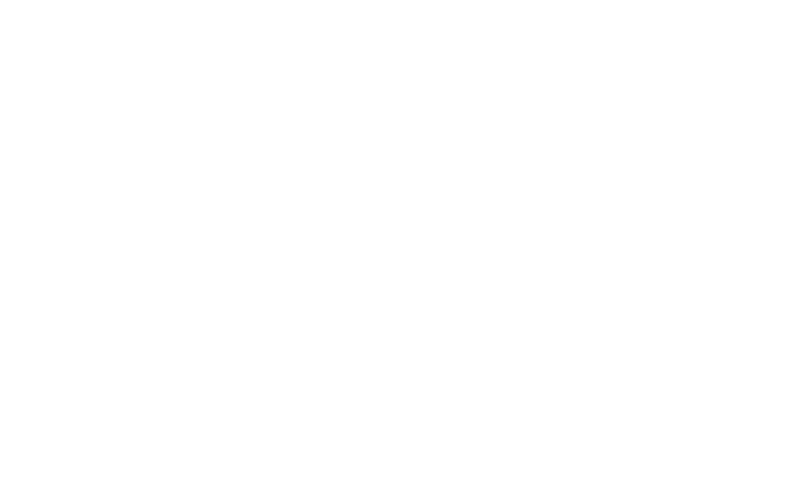 v3 Logo transparent white